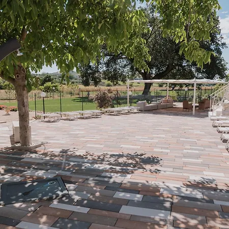 Bed & Breakfast L'antica Quercia Collecorvino