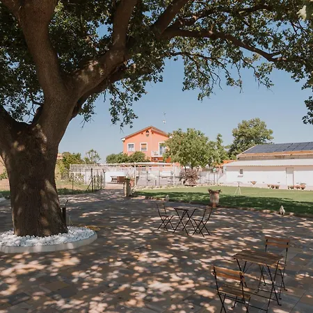 Bed & Breakfast L'antica Quercia 3*