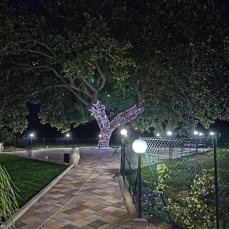 L'antica Quercia 3*